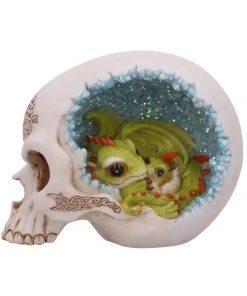 Nemesis Now All Homeware Celtic Cave Dragon Skull