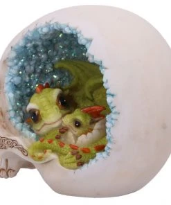 Nemesis Now All Homeware Celtic Cave Dragon Skull