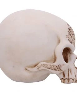 Nemesis Now All Homeware Celtic Cave Dragon Skull
