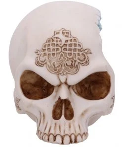 Nemesis Now All Homeware Celtic Cave Dragon Skull