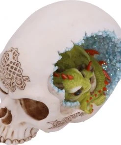 Nemesis Now All Homeware Celtic Cave Dragon Skull