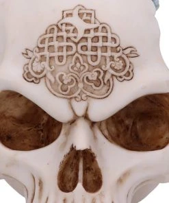 Nemesis Now All Homeware Celtic Cave Dragon Skull