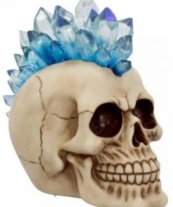 Nemesis Now Steampunk Homeware Crystal Hawk Skull