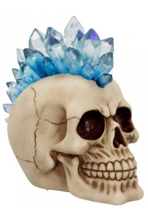 Nemesis Now Steampunk Homeware Crystal Hawk Skull 3 Nemesis Now Steampunk Homeware Crystal Hawk Skull