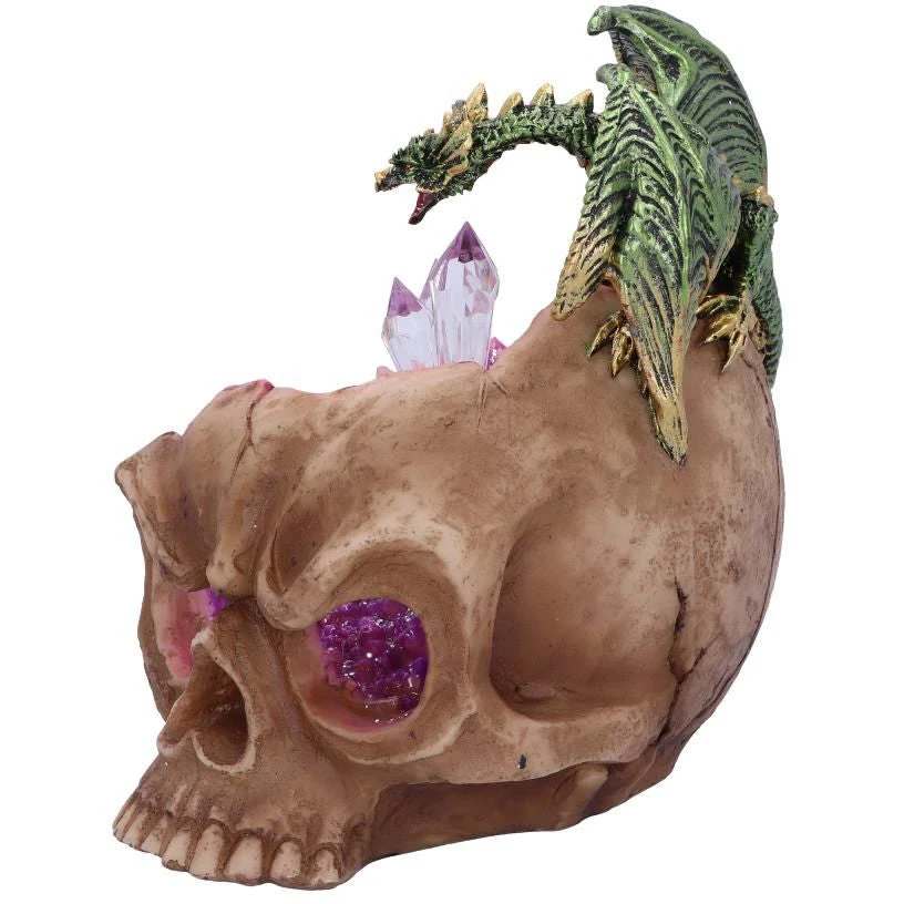 Nemesis Now All Homeware Crystalline Cranium Dragon Skull 6 Nemesis Now All Homeware Crystalline Cranium Dragon Skull