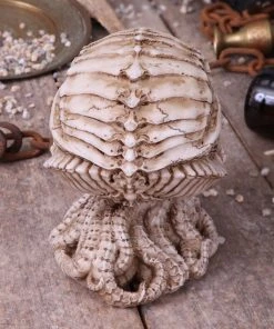 Nemesis Now All Homeware James Ryman Cthulhu Skull