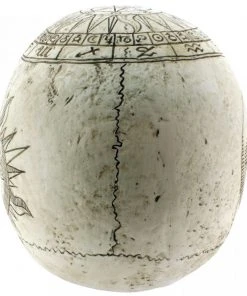 Nemesis Now All Homeware Astrological Skull