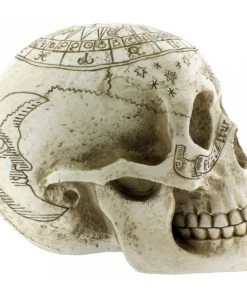 Nemesis Now All Homeware Astrological Skull