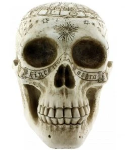 Nemesis Now All Homeware Astrological Skull