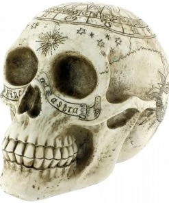 Nemesis Now All Homeware Astrological Skull