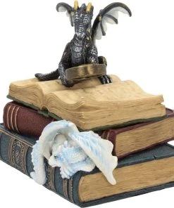 Nemesis Now All Homeware Miniature Scholars Trinket Box 13cm