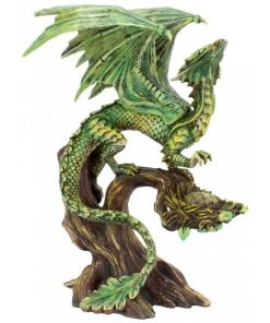 Nemesis Now Anne Stokes Adult Forest Dragon All Homeware