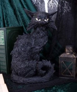 Nemesis Now Salem And Spite Large All Homeware