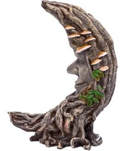 Nemesis Now Luna Oak All Homeware