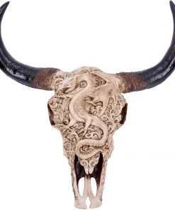 Nemesis Now Mythical Markings Skull 44cm