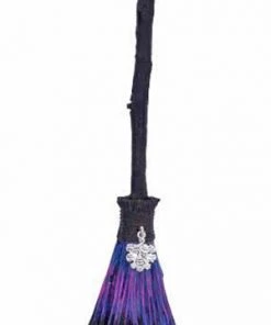 Nemesis Now All Homeware Positive Energy Broomsticks Purple Green Man Charm