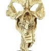 Angel Gifts Decorative Skull On Base Sale