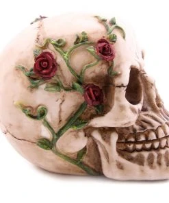 Puckator Decorative Skull With Climbing Roses