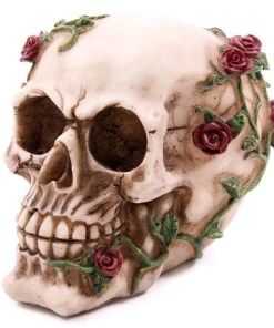 Puckator Decorative Skull With Climbing Roses