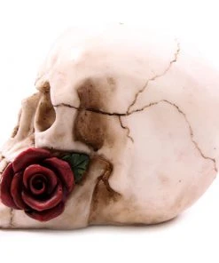 Puckator Decorative Skull With Single Red Rose All Homeware