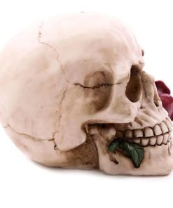Puckator Decorative Skull With Single Red Rose All Homeware