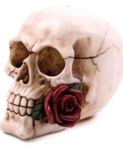 Puckator Decorative Skull With Single Red Rose All Homeware