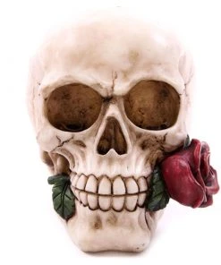 Puckator Decorative Skull With Single Red Rose All Homeware