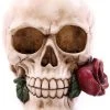 Puckator Decorative Skull With Single Red Rose All Homeware