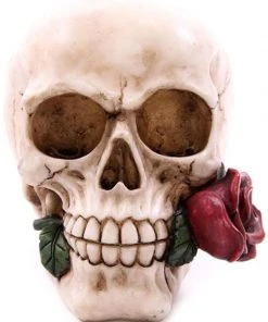 Puckator Decorative Skull With Single Red Rose All Homeware