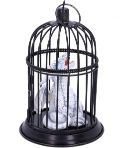 Nemesis Now Pearl Pet Dragon All Homeware