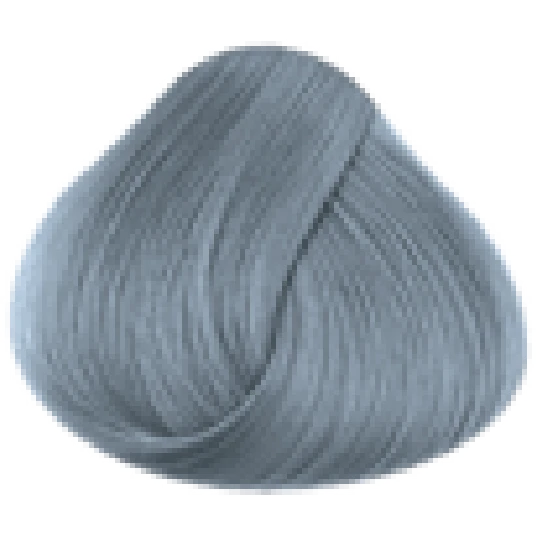 Directions Silver Hair Dye 4 Directions Silver Hair Dye