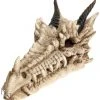 Nemesis Now Draco Skull Incense Holder All Homeware