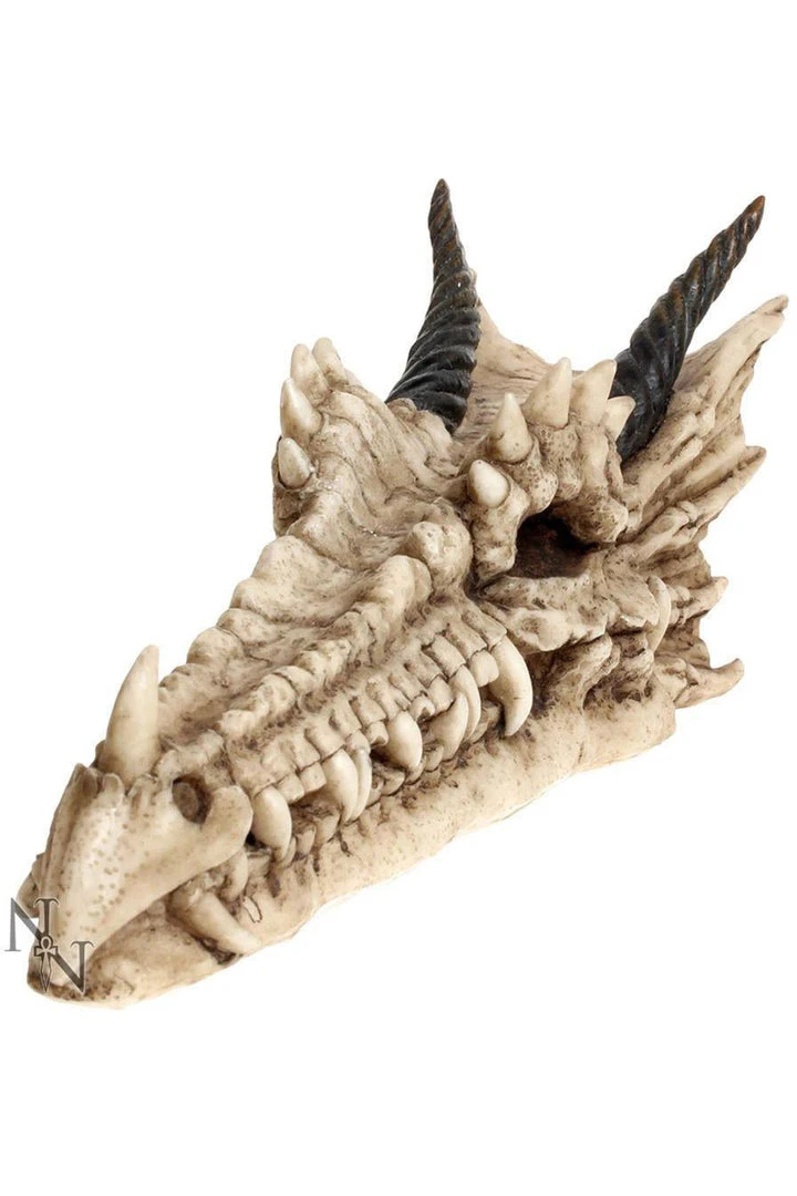 Nemesis Now Draco Skull Incense Holder All Homeware 3 Nemesis Now Draco Skull Incense Holder All Homeware