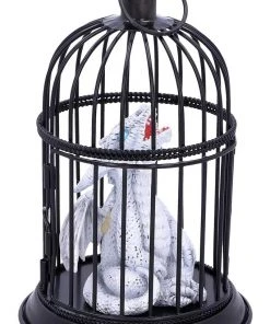 Nemesis Now Pearl Pet Dragon All Homeware