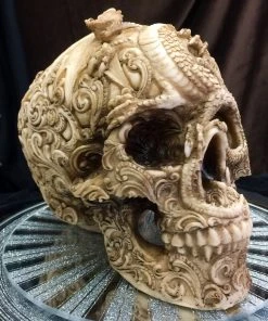 Nemesis Now Cranial Drakos Skull 19.5cm