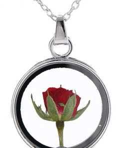 Gothic And Steampunk Jewellery Dried Rose Glass Locket Necklace All Jewellery