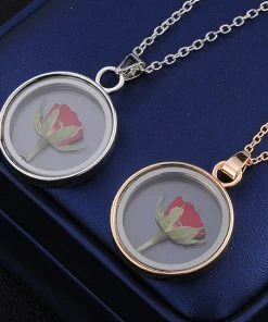 Gothic And Steampunk Jewellery Dried Rose Glass Locket Necklace All Jewellery