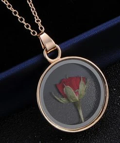 Gothic And Steampunk Jewellery Dried Rose Glass Locket Necklace All Jewellery