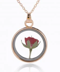 Gothic And Steampunk Jewellery Dried Rose Glass Locket Necklace All Jewellery
