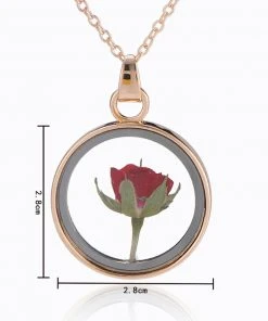 Gothic And Steampunk Jewellery Dried Rose Glass Locket Necklace All Jewellery
