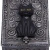 Nemesis Now All Homeware Familiar Spell Cat Box