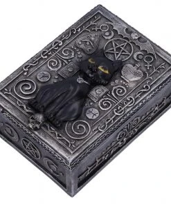 Nemesis Now All Homeware Familiar Spell Cat Box