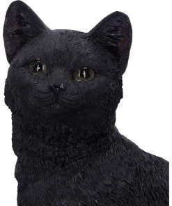 Nemesis Now Familiar Fate Witches Cat