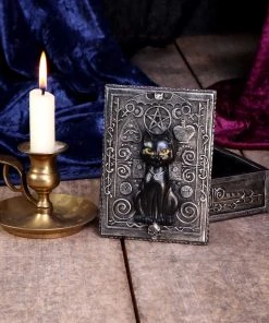 Nemesis Now All Homeware Familiar Spell Cat Box