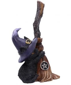 Nemesis Now All Homeware Familiars Broom Witches Cat