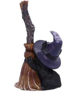 Nemesis Now All Homeware Familiars Broom Witches Cat