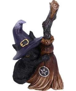 Nemesis Now All Homeware Familiars Broom Witches Cat