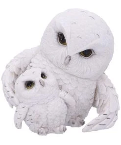 Nemesis Now Feathered Guide Owls