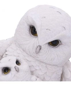 Nemesis Now Feathered Guide Owls