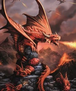 Eastgate Cards And Wrapping Paper Anne Stokes Fire Dragon Card